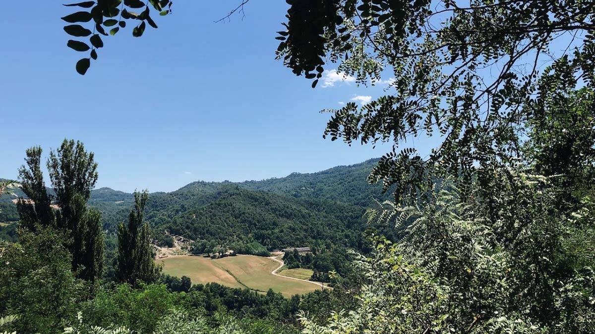 Yazar Kutluer, Tanrıların Yolu'nu 5 günde tamamladı