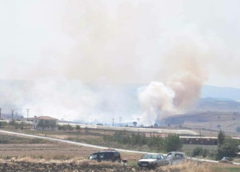 Ziraat Yüksek Mühendisi anız yakma yasağı uyarısı