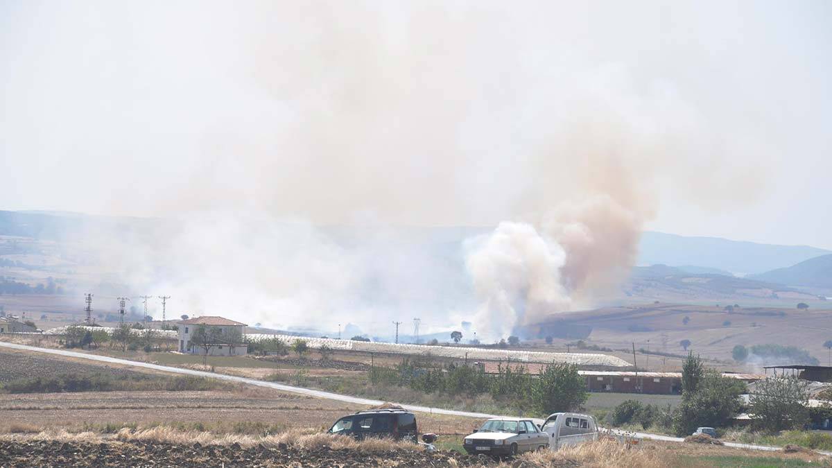 Ziraat Yüksek Mühendisi anız yakma yasağı uyarısı