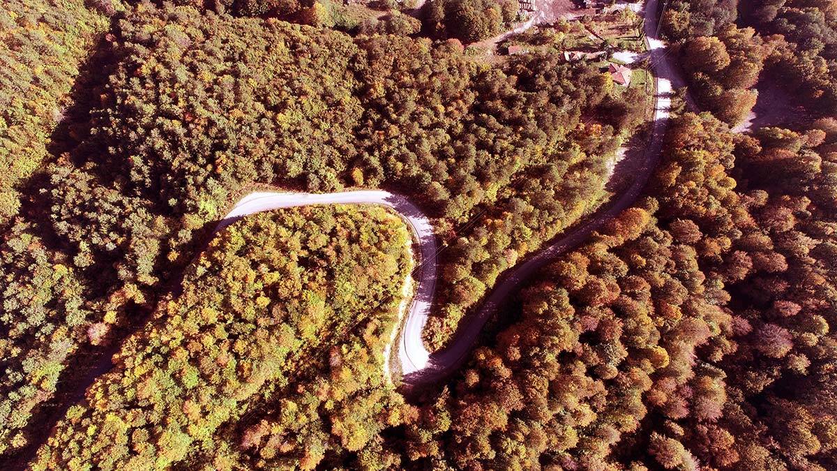 Zonguldak'ta kent ormanı fotoğrafçıların gözdesi