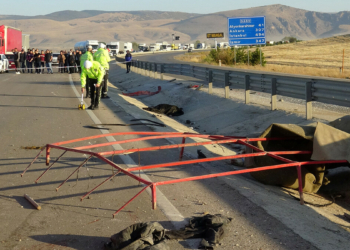 Otomobil ile hayvan yüklü kamyonet çarpıştı