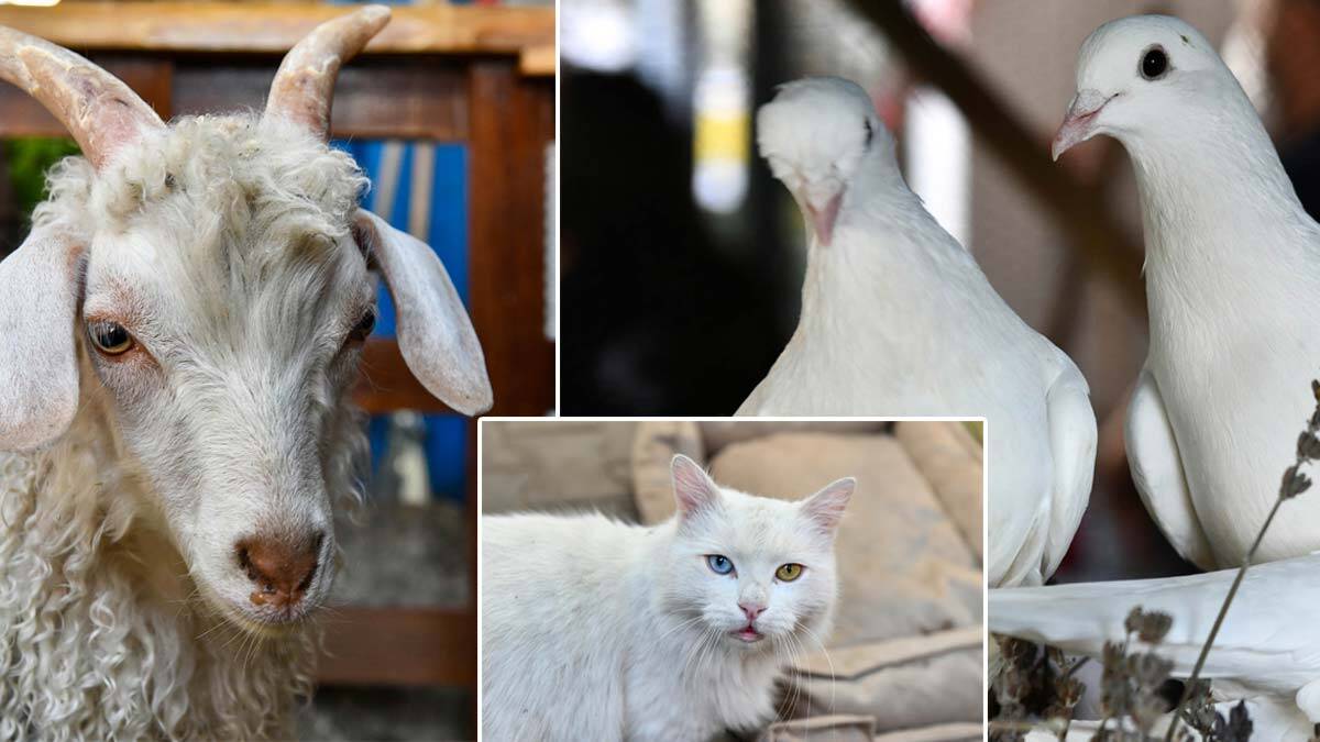 "Kale'de Sanat Günleri" etkinliği ilgi gördü