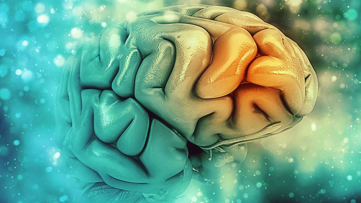 Epilepsi hastalarının toplumdaki yeri