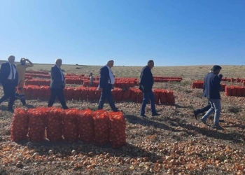 CHP'li vekiller, soğan üreticileriyle bir araya geldi