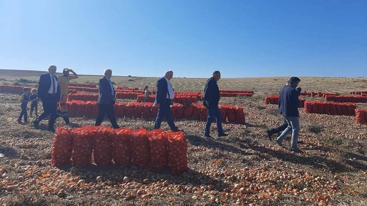 CHP'li vekiller, soğan üreticileriyle bir araya geldi