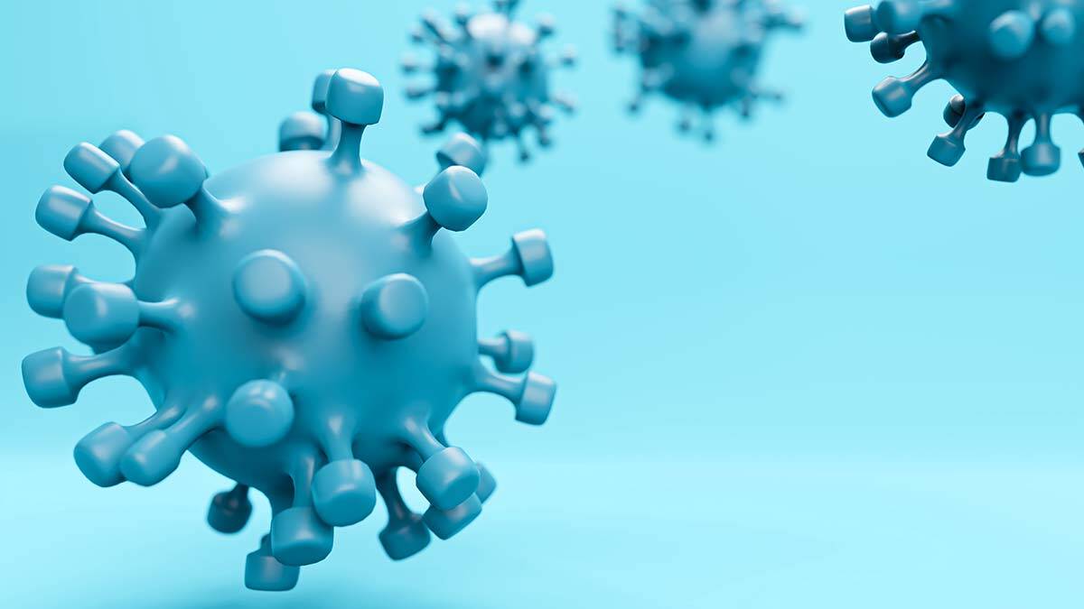 Covid-19 felaket senaryoları