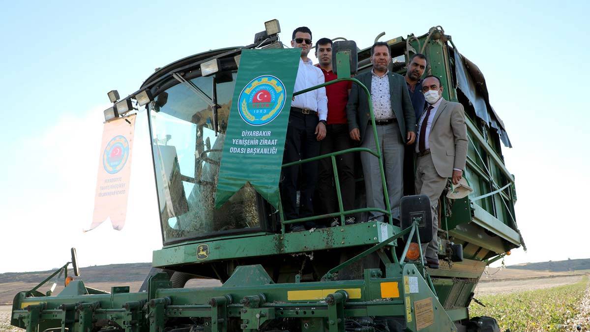 Diyarbakır'da 'beyaz altın' pamuk hasadı başladı