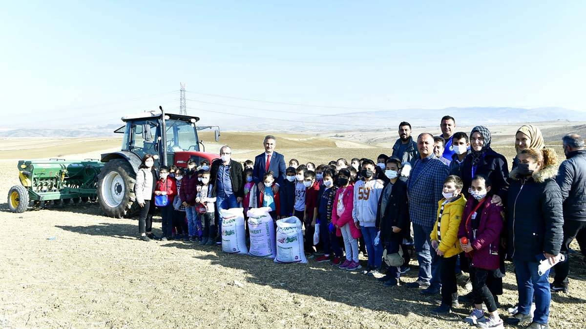 Murat Köse, ata yadigarı buğday tohumu ekti