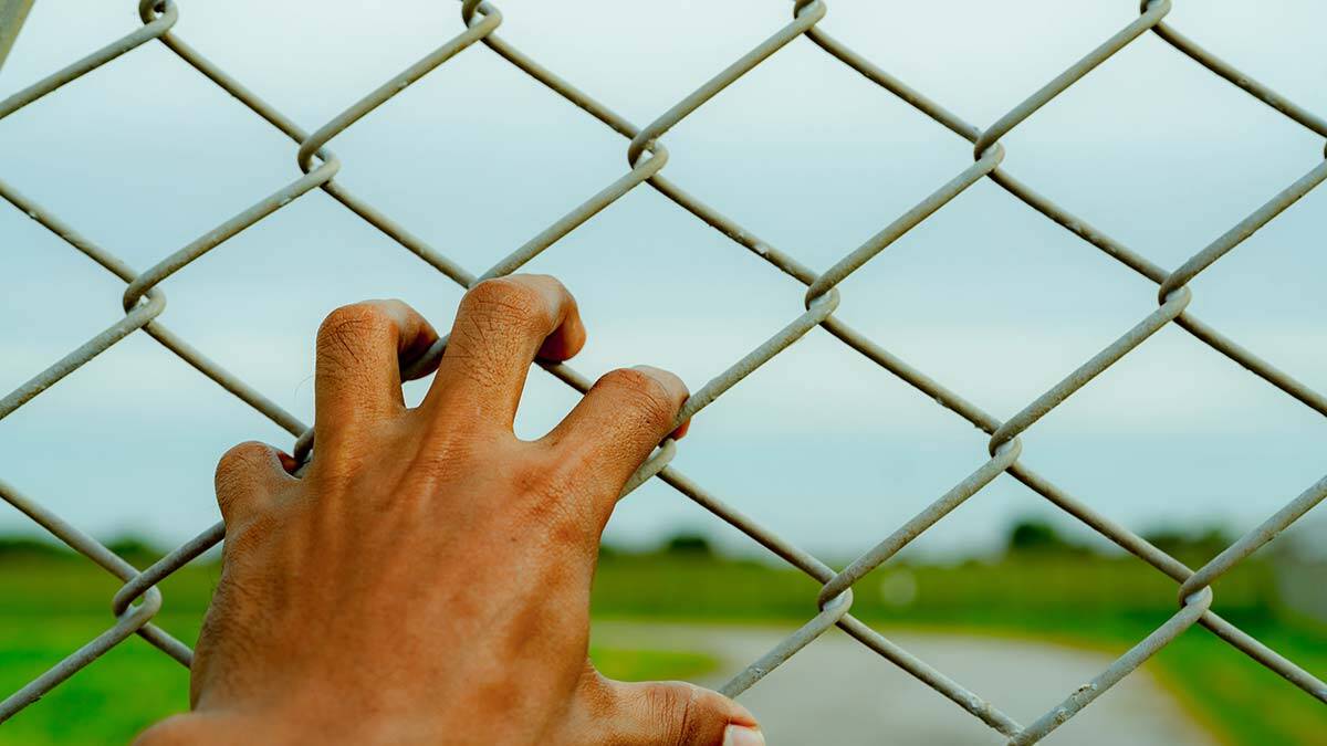 Göçmenler özelinde insanlar, göçmen hakları