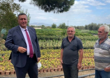Gürer: Maliyetler katladı, üretici kaygılı