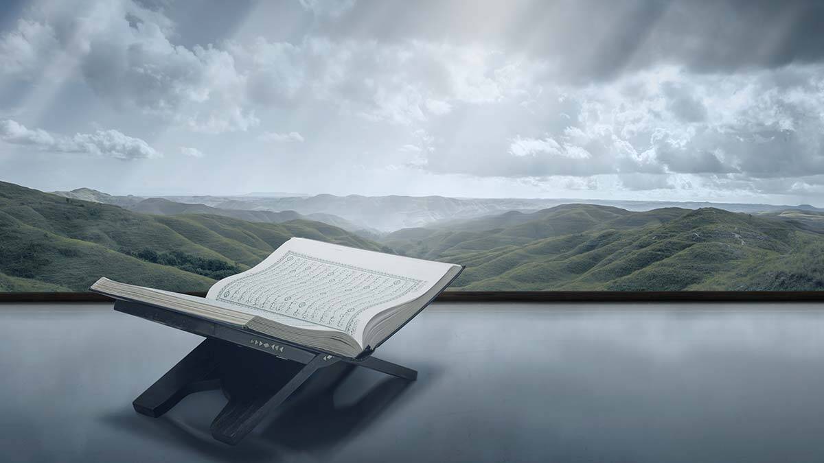 Gönüllerin sultanı