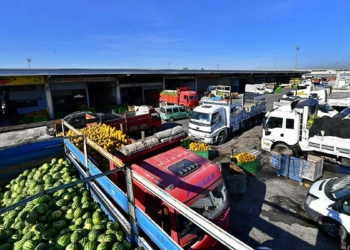 Sebze ve Meyve Hali'ne 12 milyon liralık yatırım