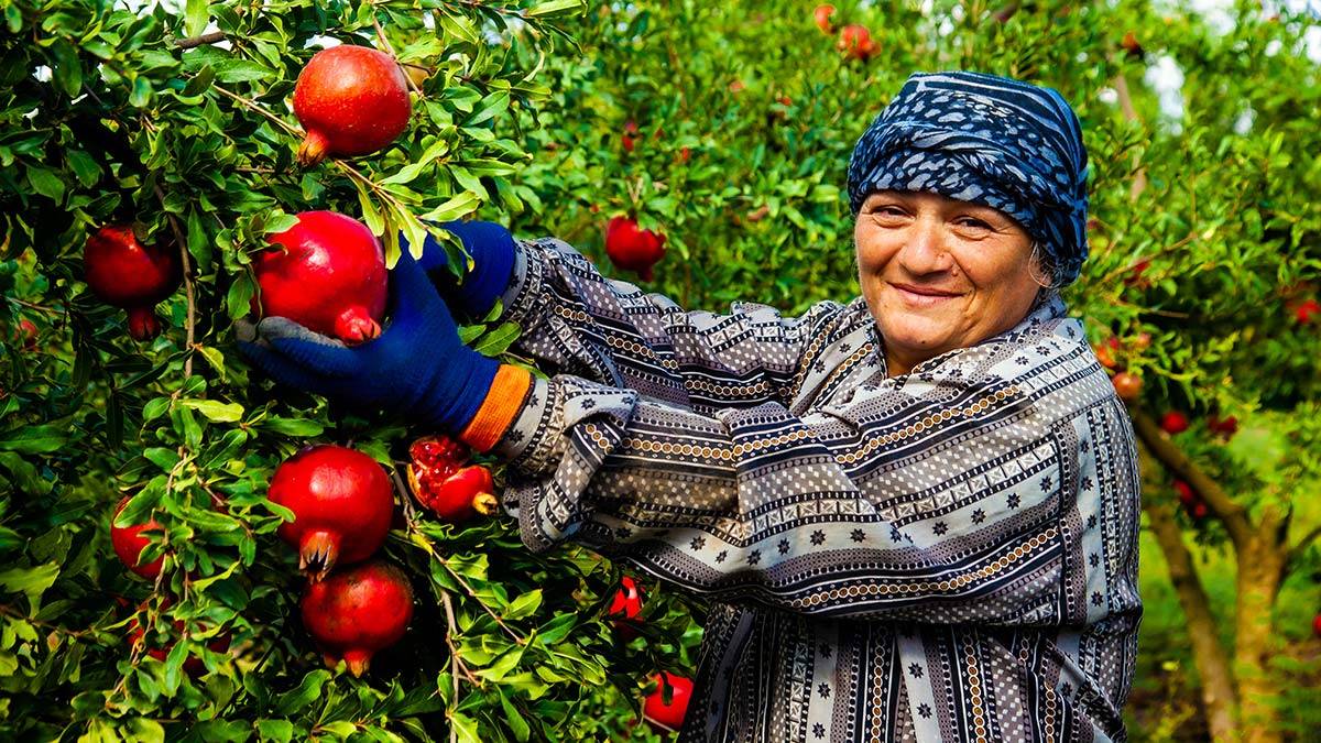 Yetiştirici kadınlarımızın toplumdaki statüleri yükseltilmeli