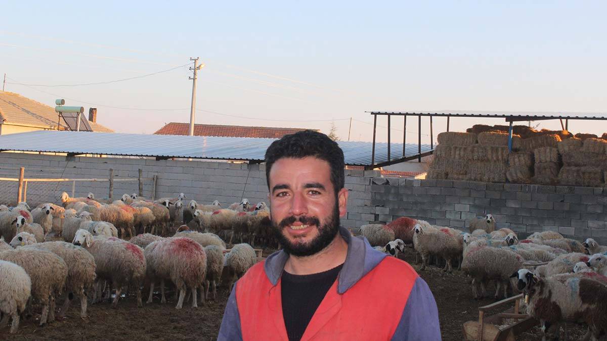 Aksaray'ın Eskil ilçesinde 14 koyunla besiciliğe başlayan Ahmet Yalvaç'ın, koyunları gelir kaynağı oldu.