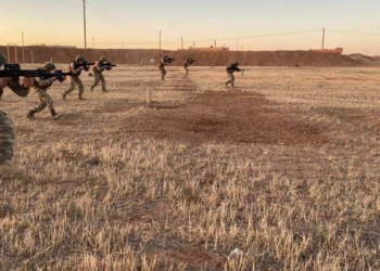 4 PKK'lı terörist etkisiz hale getirildi