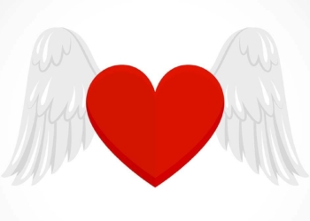 Sen hiç Sevgi'nin İlik Çorbasını içtin mi?