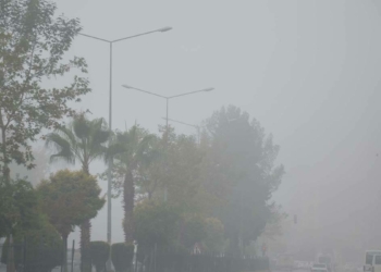 Adıyaman'da sabah sis etkili oldu