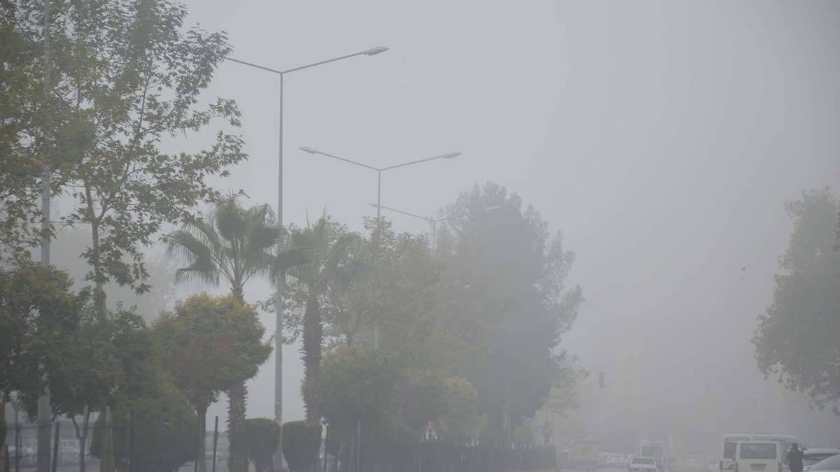 Adıyaman'da sabah sis etkili oldu