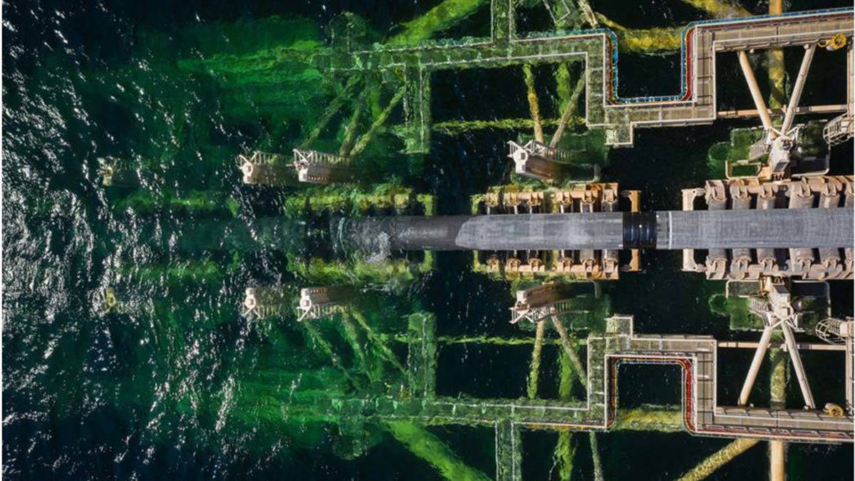 Almanya, doğal gaz boru hattı sürecini askıya aldı