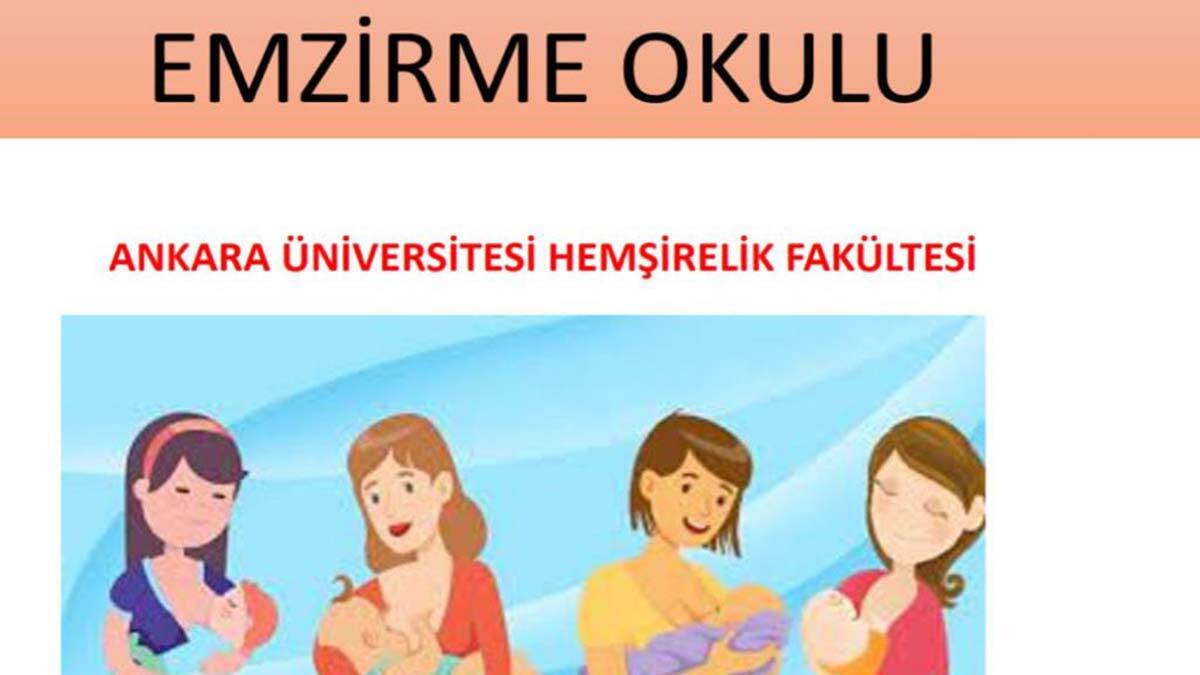 Ankara üniversitesi hemşirelik fakültesi dekanı prof. Dr. Ayfer tezel, doğum sonrası bebeğini emziren ya da emzirmek isteyen tüm annelerin bu eğitime katılabileceklerini söyledi