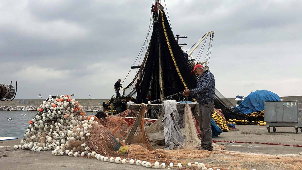 Kozlu Su Ürünleri Kooperatifi Başkanı Ergün Kayhan, Zonguldak açıklarında istenilen av olmayınca, balıkçıların Doğu Karadeniz'de sezonu sürdürdüğünü söyledi