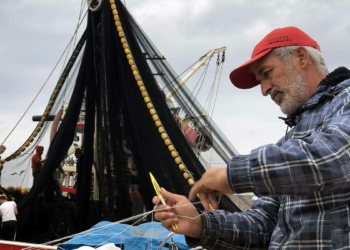 Balıkçılar sezonun devamında mezgitten umutlu