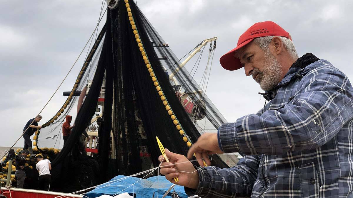 Balıkçılar sezonun devamında mezgitten umutlu
