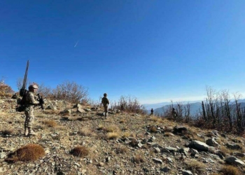Bitlis'te Eren Kış-7 operasyonu başlatıldı