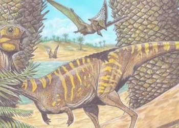 Brezilya'da dişsiz dinozor kalıntısı keşfedildi