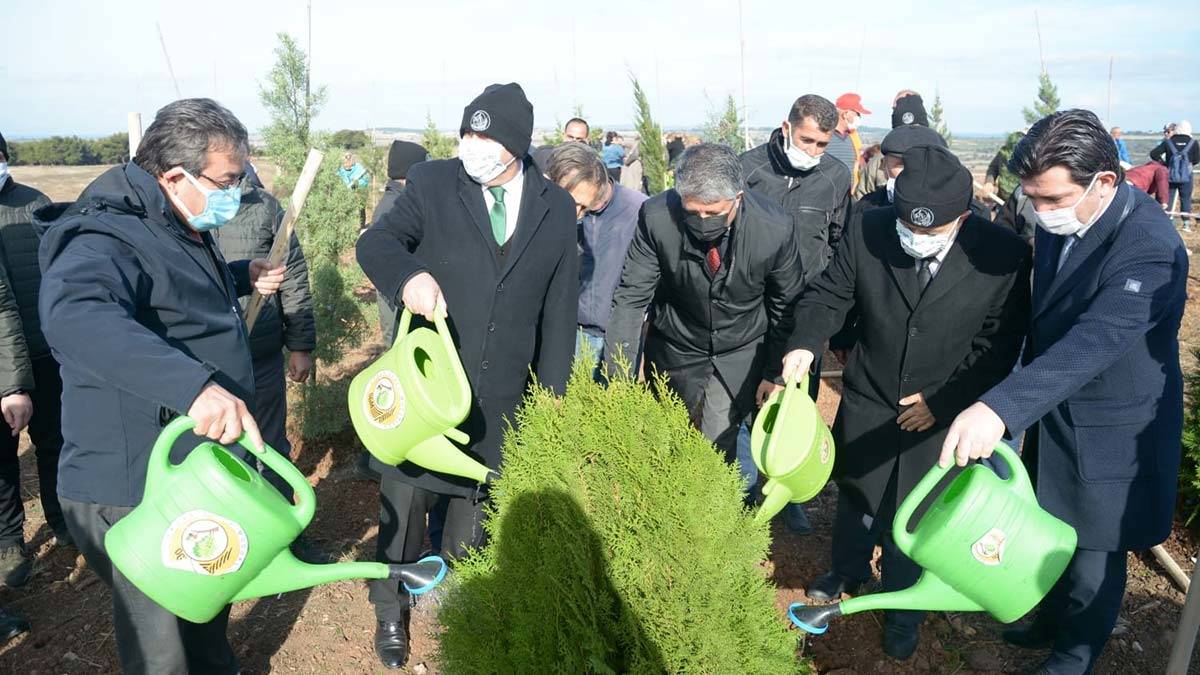 Çanakkale'de fidan dikimi töreni
