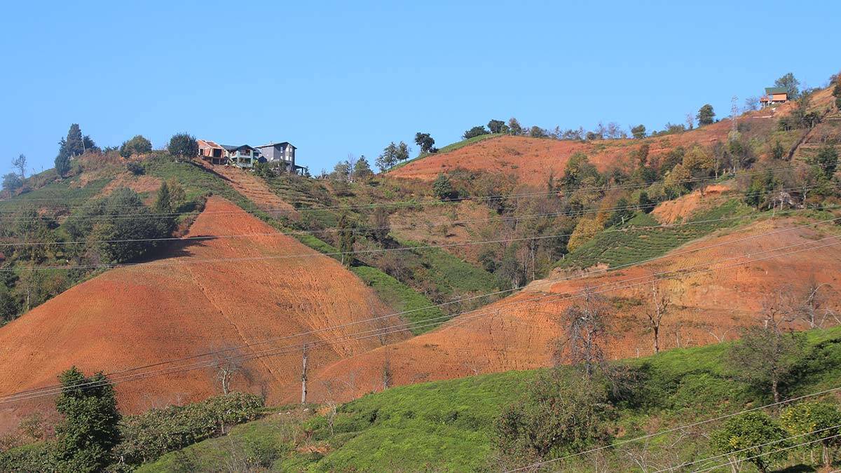 " Üreticilerimizin çay kanunu ile ilgili beklentisi var."