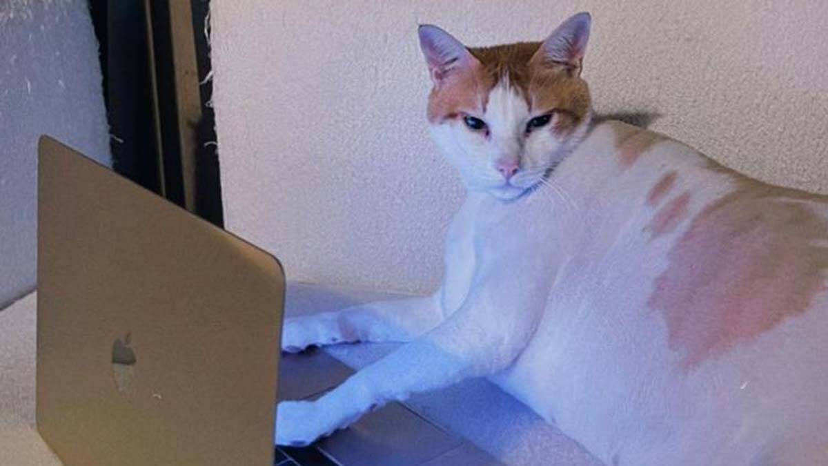 " Bana hayatım boyunca unutamayacağım çok güzel bir sene yaşattın Patates "