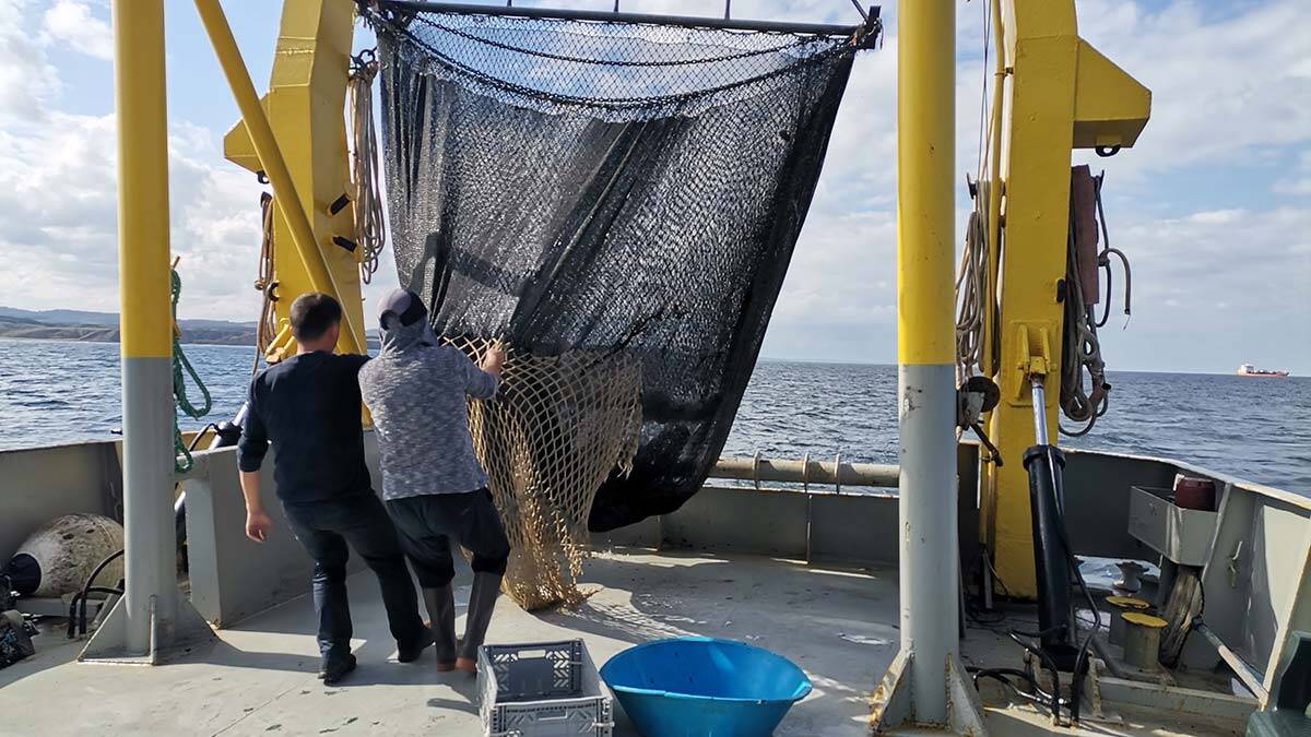 Denizlerde araştırmada korkutan sonuç