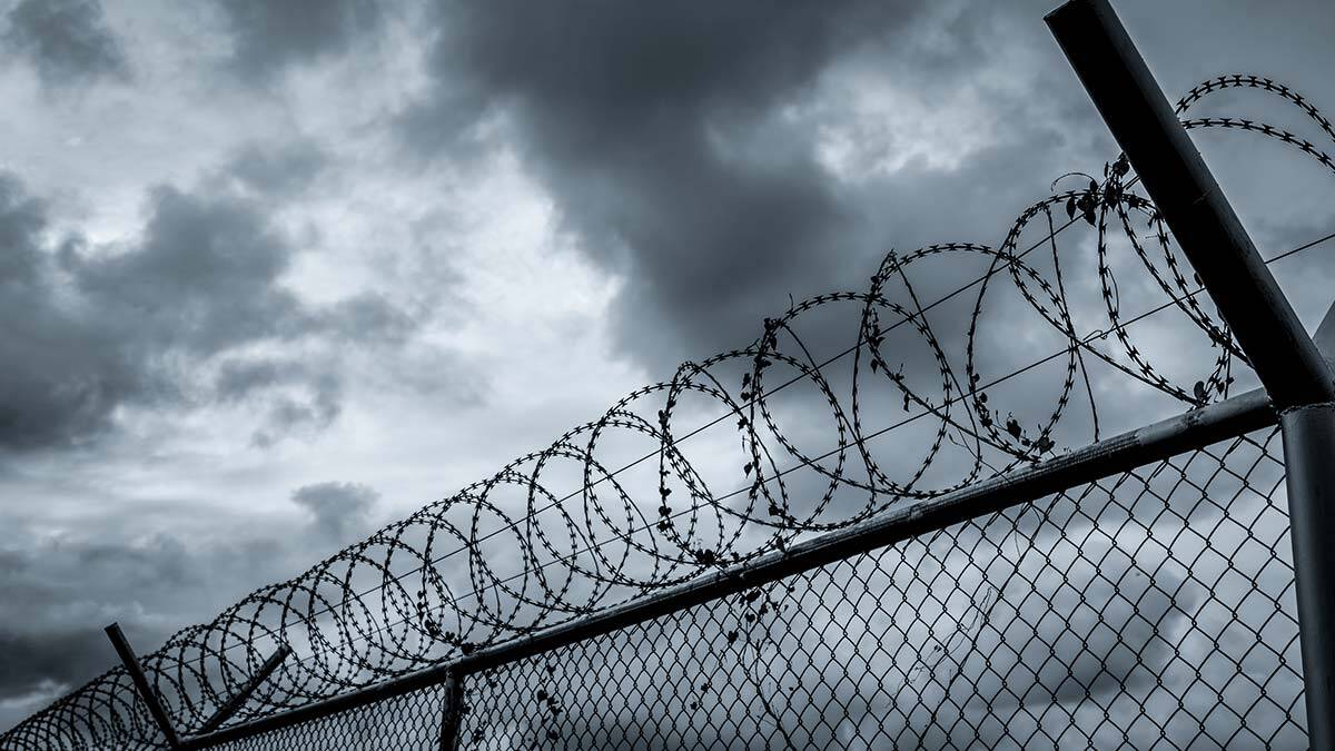 Düzensiz göçmen girişi 2019'da pik yaptı