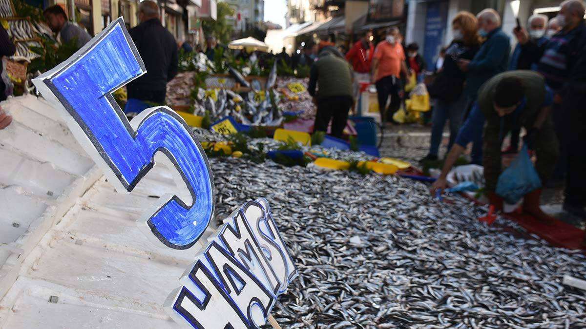 Edirne'de hamsinin kilosu 5 liraya düştü