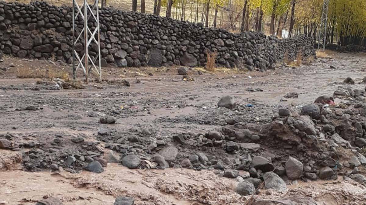 Erciş'te yağmur sele neden oldu