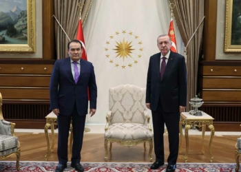Erdoğan, Türk Konseyi Genel Sekreteri'ni kabul etti