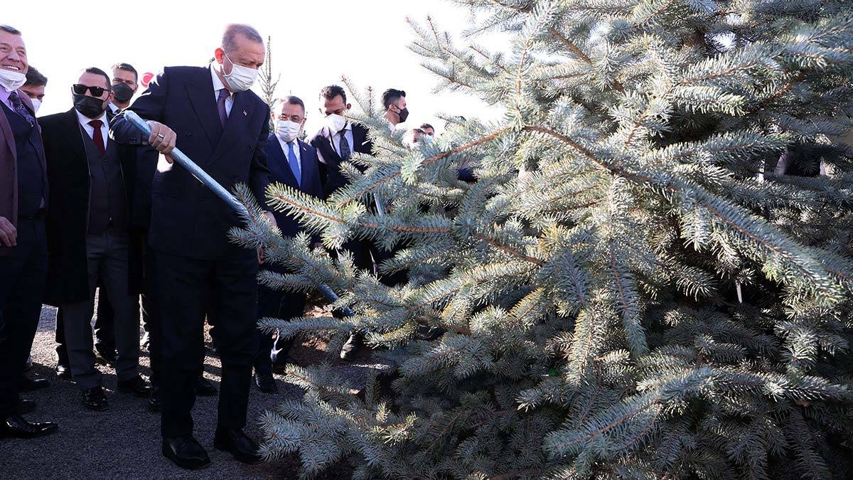 "Bizler 'Yarın kıyametin kopacağını bilseniz bile elinizdeki fidanı dikiniz' düsturuna sahip bir medeniyetin mensuplarıyız"