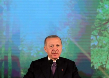 Erdoğan: Orman varlığımız 23 milyon hektar sınırında