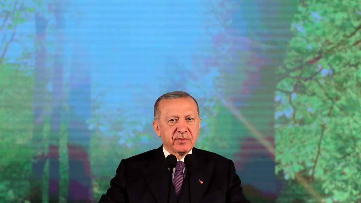 Erdoğan: Orman varlığımız 23 milyon hektar sınırında