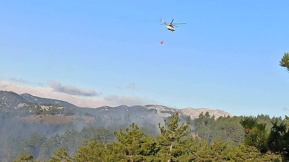 Feke ilçesinde orman yangını çıktı