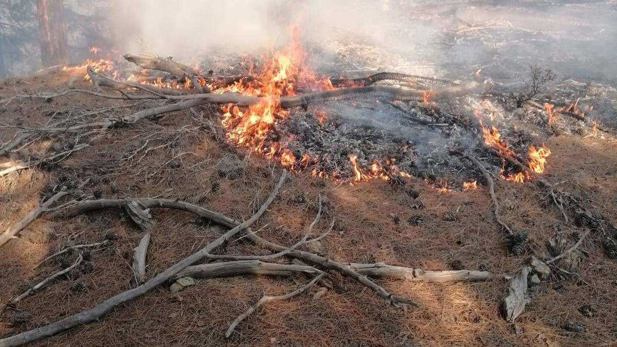 Yangına müdahale eden ekiplerin çalışmaları sürüyor