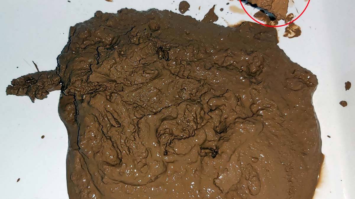 " Çalışmalar sırasında örnekleme yaptığımız her istasyonda mikro plastik örneklerine rastlanılmıştır"