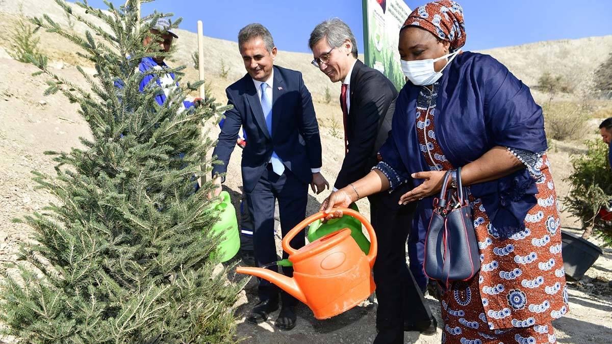 Singapur Büyükelçiliği'nden Mamak'a 500 fidan