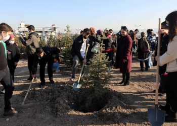 Başöğretmene hatıra ormanı