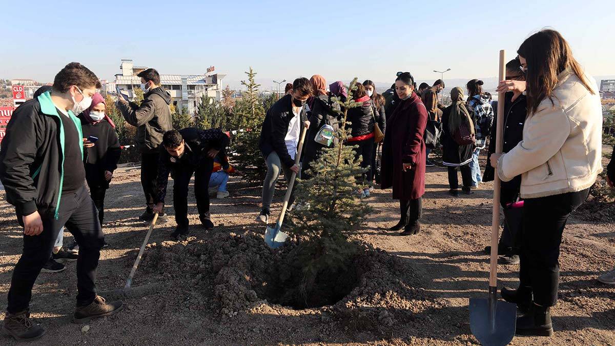 Başöğretmene hatıra ormanı
