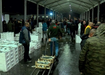 Gürpınar Su Ürünleri Hali'nden Amerika'ya ihracat