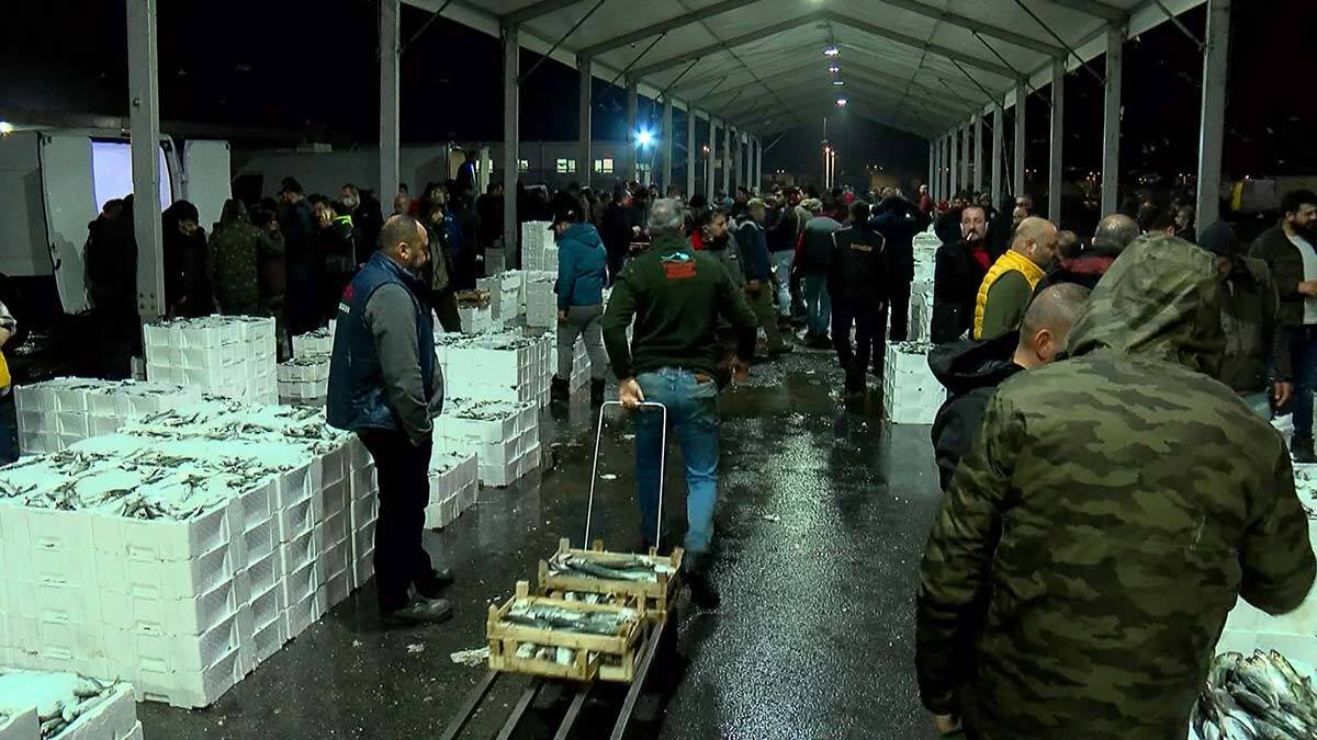 Gürpınar Su Ürünleri Hali'nden Amerika'ya ihracat