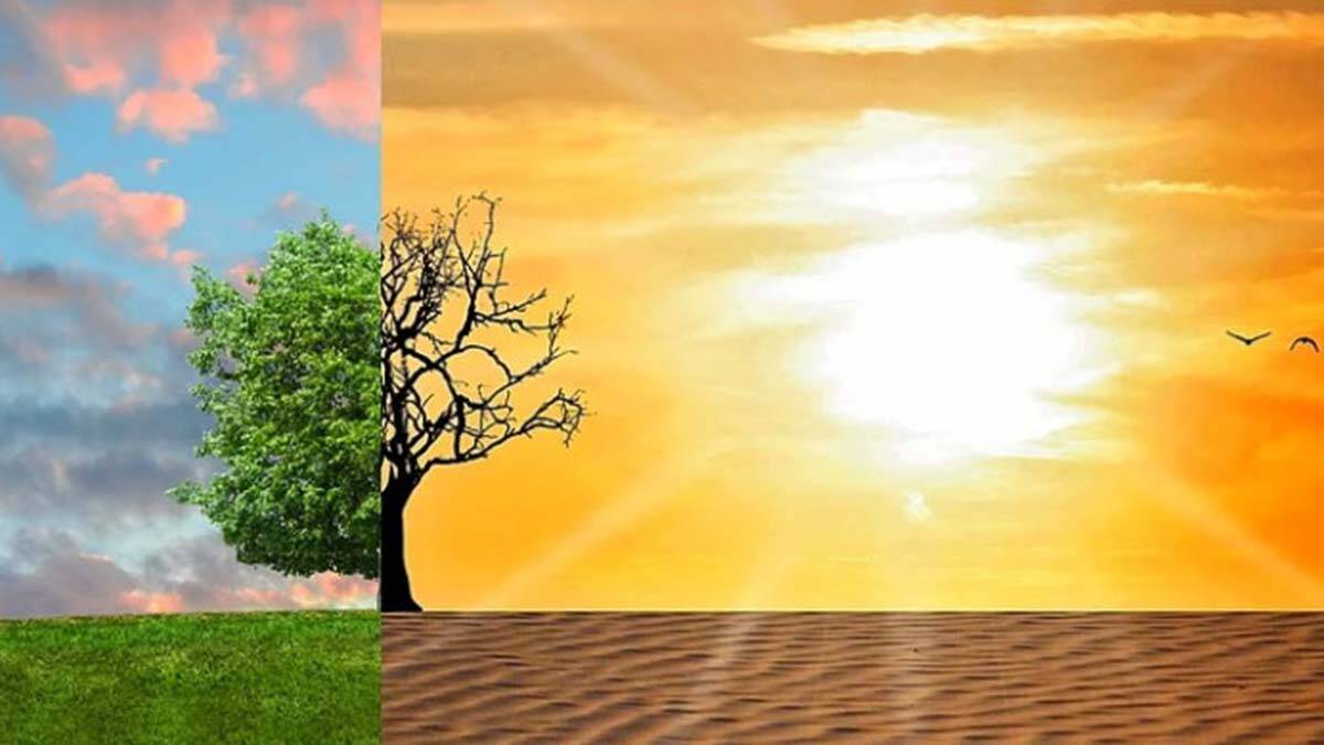 İklim ve çevre tüm dünya için hayati önem arz ediyor