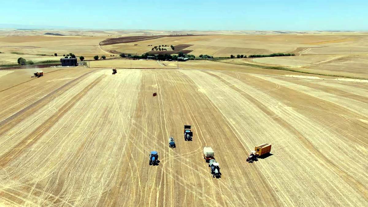 İl Müdürü: Çiftçiler gübre zammından etkilenmeyecek